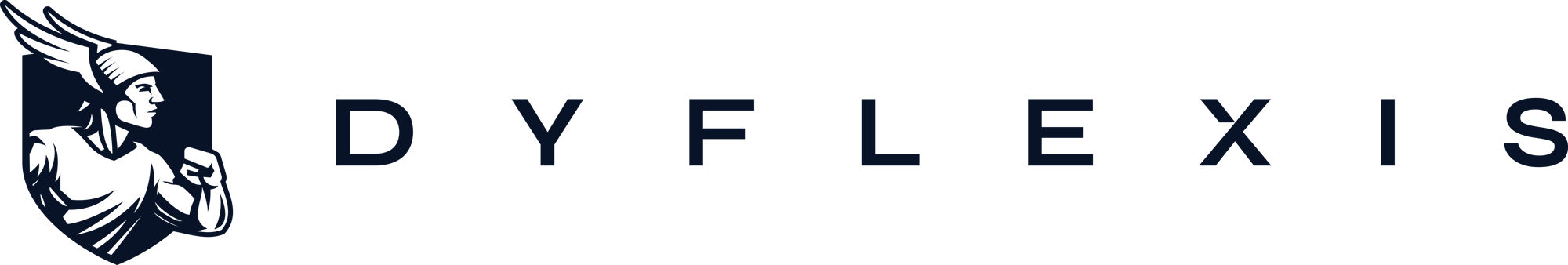 Dyflexis_Landscape_Dark